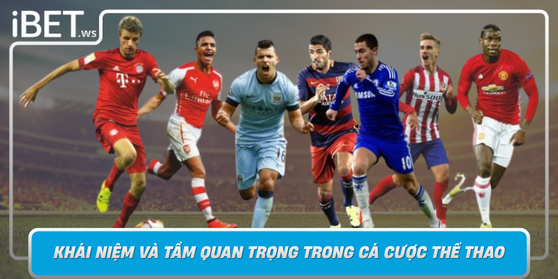 Keo Cuoc Chap Khai Niem Va Tam Quan Trong Trong Ca Cuoc The Thao