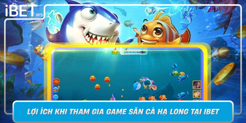 Loi Ich Khi Tham Gia Game San Ca Ha Long Tai Ibet
