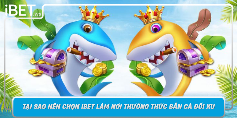Tai Sao Nen Chon Ibet Lam Noi Thuong Thuc Ban Ca Doi Xu