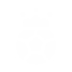 Thethao4
