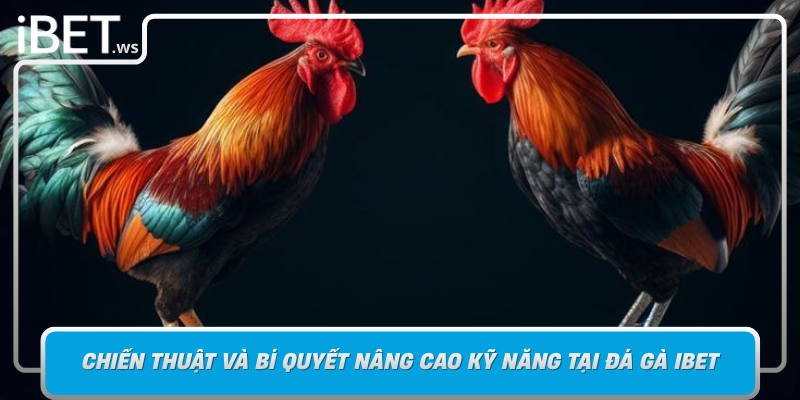 Chien Thuat Va Bi Quyet Nang Cao Ky Nang Tai Da Ga Ibet