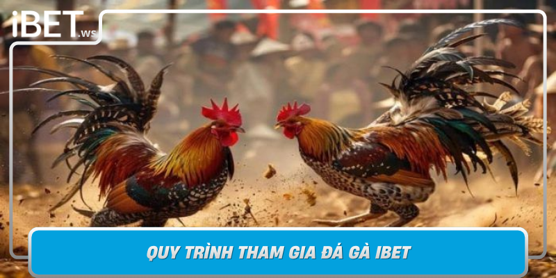 Quy Trinh Tham Gia Da Ga Ibet Don Gian Va Than Thien