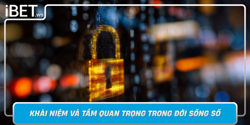 Quyen Rieng Tu Khai Niem Va Tam Quan Trong Trong Doi Song So